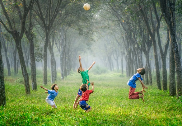 Designing a Montessori Curriculum